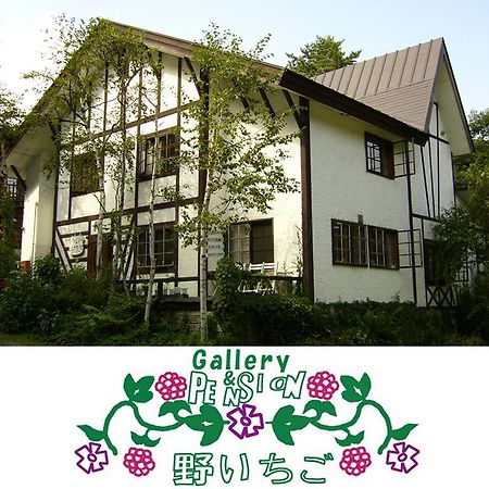 白馬村 ペンション＆ギャラリー　野いちご Bed & Breakfast エクステリア 写真