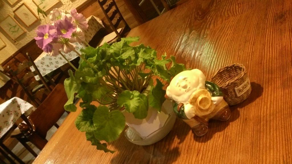 白馬村 ペンション＆ギャラリー　野いちご Bed & Breakfast エクステリア 写真