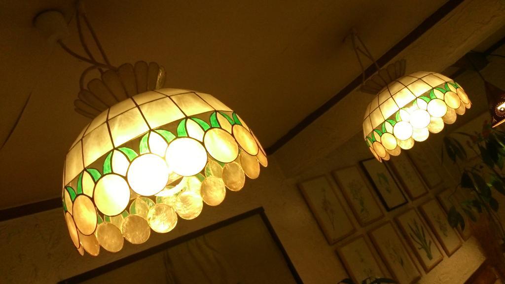 白馬村 ペンション＆ギャラリー　野いちご Bed & Breakfast エクステリア 写真