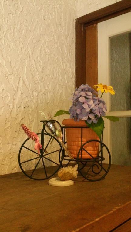 白馬村 ペンション＆ギャラリー　野いちご Bed & Breakfast エクステリア 写真